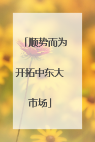 顺势而为开拓中东大市场
