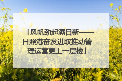 风帆劲起满目新——日照港奋发进取推动管理运营更上一层楼