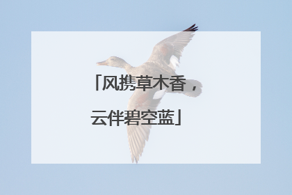 风携草木香，云伴碧空蓝