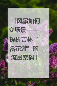 风景如何变场景——探析吉林“赏花游”的流量密码