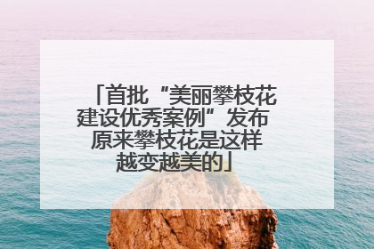 首批“美丽攀枝花建设优秀案例”发布 原来攀枝花是这样越变越美的
