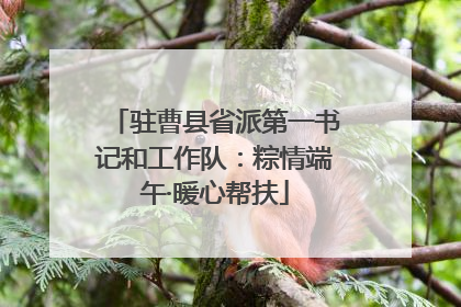 驻曹县省派第一书记和工作队：粽情端午·暖心帮扶