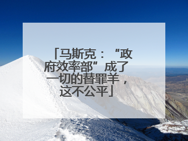 马斯克：“政府效率部”成了一切的替罪羊，这不公平