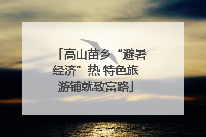 高山苗乡“避暑经济”热 特色旅游铺就致富路