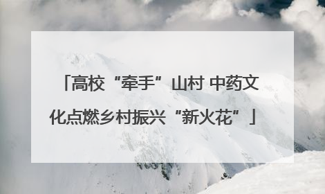 高校“牵手”山村 中药文化点燃乡村振兴“新火花”