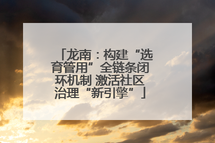 龙南：构建“选育管用”全链条闭环机制 激活社区治理“新引擎”
