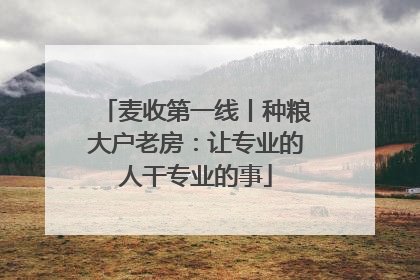 麦收第一线丨种粮大户老房：让专业的人干专业的事