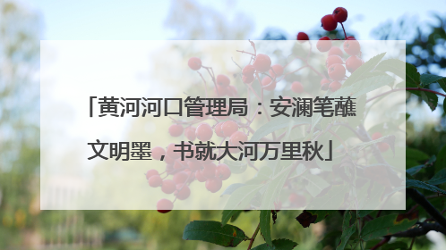黄河河口管理局：安澜笔蘸文明墨，书就大河万里秋