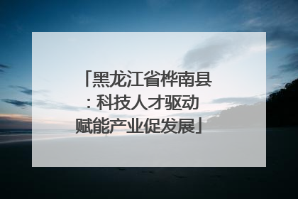 黑龙江省桦南县：科技人才驱动 赋能产业促发展