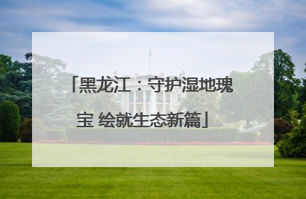 黑龙江：守护湿地瑰宝 绘就生态新篇