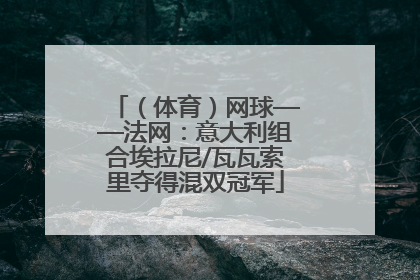（体育）网球——法网：意大利组合埃拉尼/瓦瓦索里夺得混双冠军
