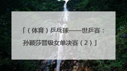 （体育）乒乓球——世乒赛：孙颖莎晋级女单决赛（2）