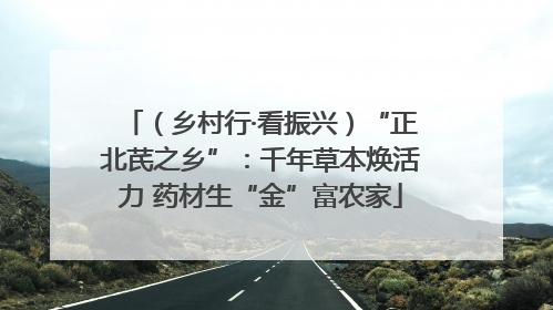 （乡村行·看振兴）“正北芪之乡”：千年草本焕活力 药材生“金”富农家