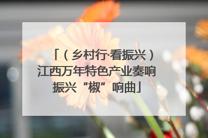 （乡村行·看振兴）江西万年特色产业奏响振兴“椒”响曲