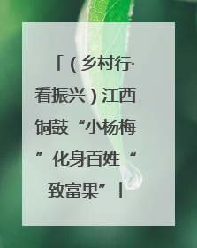 （乡村行·看振兴）江西铜鼓“小杨梅”化身百姓“致富果”