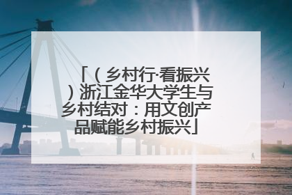 （乡村行·看振兴）浙江金华大学生与乡村结对：用文创产品赋能乡村振兴