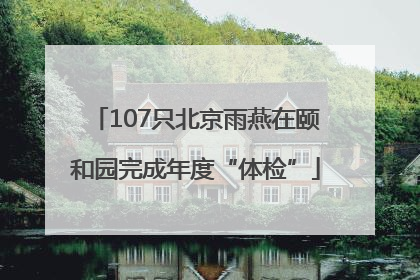 107只北京雨燕在颐和园完成年度“体检”