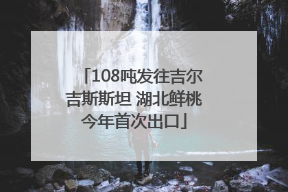 108吨发往吉尔吉斯斯坦 湖北鲜桃今年首次出口
