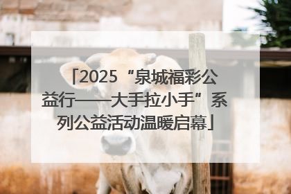 2025“泉城福彩公益行——大手拉小手”系列公益活动温暖启幕