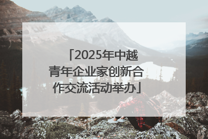 2025年中越青年企业家创新合作交流活动举办