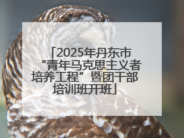 2025年丹东市“青年马克思主义者培养工程”暨团干部培训班开班