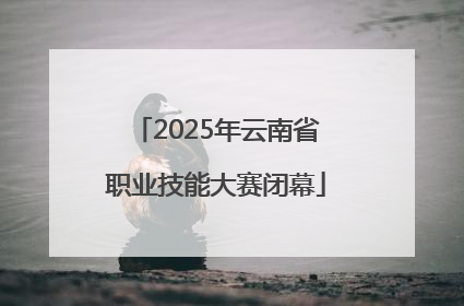 2025年云南省职业技能大赛闭幕