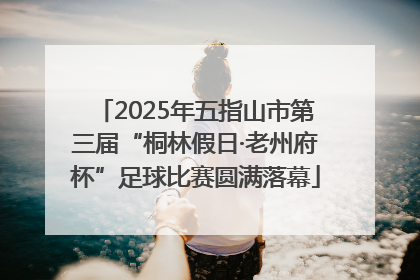 2025年五指山市第三届“桐林假日·老州府杯”足球比赛圆满落幕