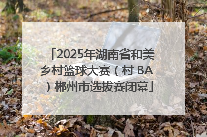 2025年湖南省和美乡村篮球大赛（村 BA）郴州市选拔赛闭幕