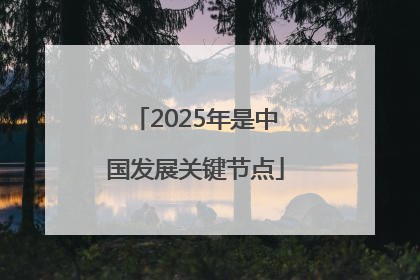 2025年是中国发展关键节点