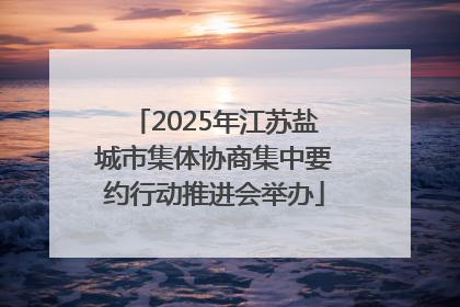 2025年江苏盐城市集体协商集中要约行动推进会举办