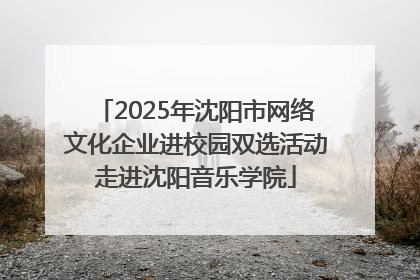 2025年沈阳市网络文化企业进校园双选活动走进沈阳音乐学院