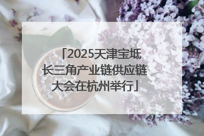 2025天津宝坻长三角产业链供应链大会在杭州举行