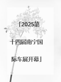 2025第十四届南宁国际车展开幕