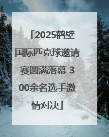 2025鹤壁国际匹克球邀请赛圆满落幕 300余名选手激情对决