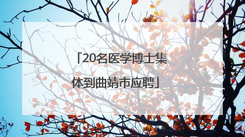 20名医学博士集体到曲靖市应聘