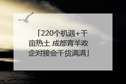 220个机遇+千亩热土 成都青羊政企对接会干货满满