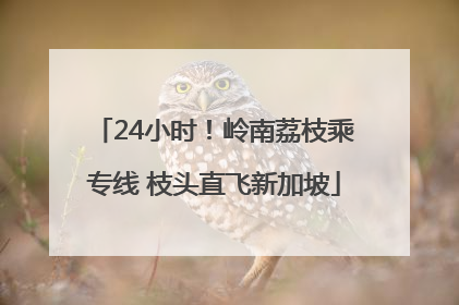24小时！岭南荔枝乘专线 枝头直飞新加坡