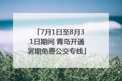 7月1日至8月31日期间 青岛开通暑期免费公交专线