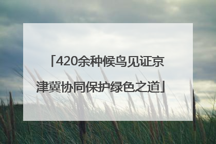 420余种候鸟见证京津冀协同保护绿色之道
