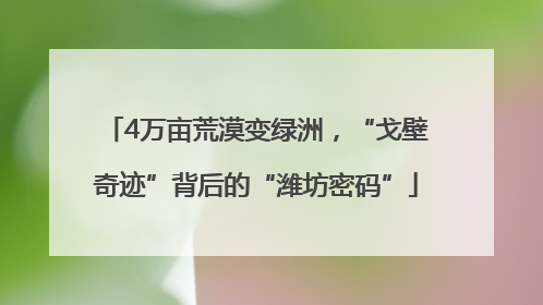 4万亩荒漠变绿洲，“戈壁奇迹”背后的“潍坊密码”