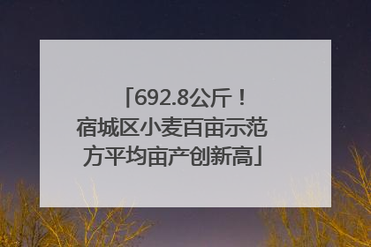 692.8公斤！宿城区小麦百亩示范方平均亩产创新高