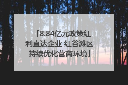 8.84亿元政策红利直达企业 红谷滩区持续优化营商环境