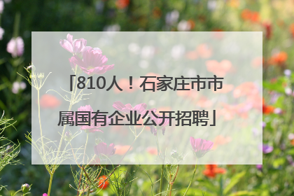 810人！石家庄市市属国有企业公开招聘