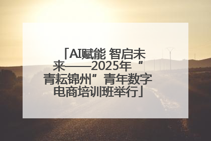 AI赋能 智启未来——2025年“青耘锦州”青年数字电商培训班举行