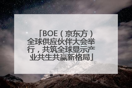 BOE（京东方）全球供应伙伴大会举行，共筑全球显示产业共生共赢新格局