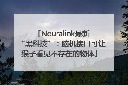 Neuralink最新“黑科技”：脑机接口可让猴子看见不存在的物体