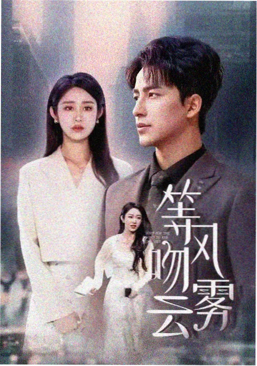 雾港回声剧照